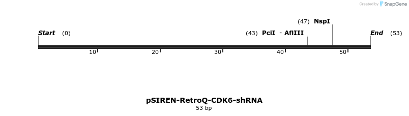 12095_map