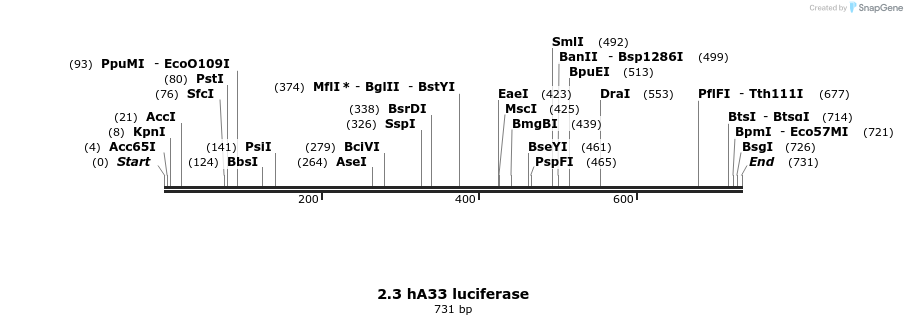 120951_map