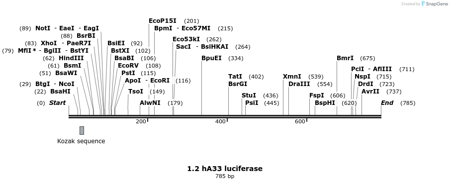120954_map
