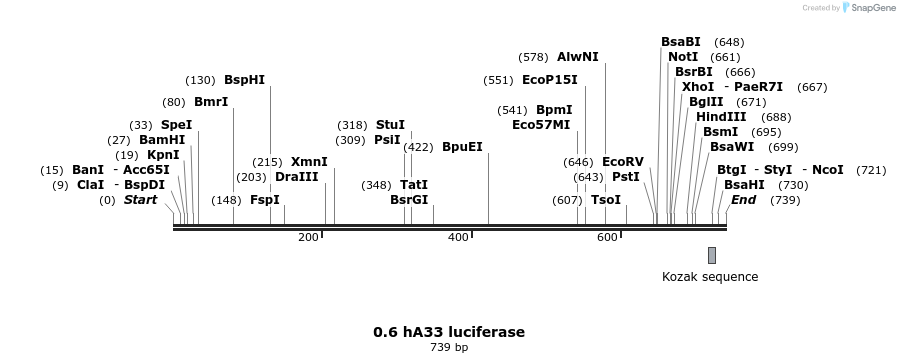 120955_map