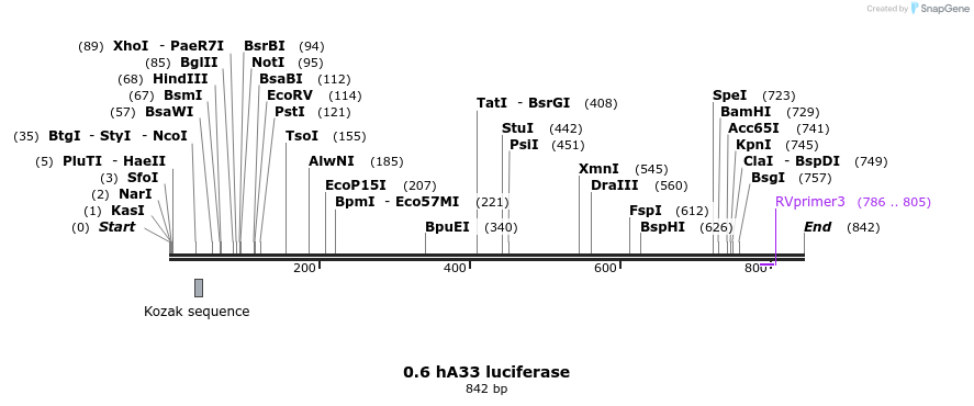 120956_map