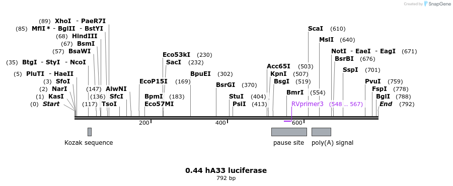 120958_map
