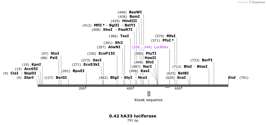 120959_map