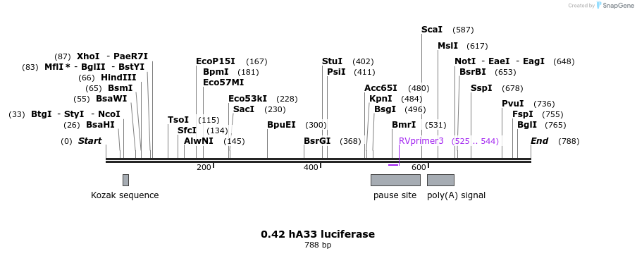 120960_map