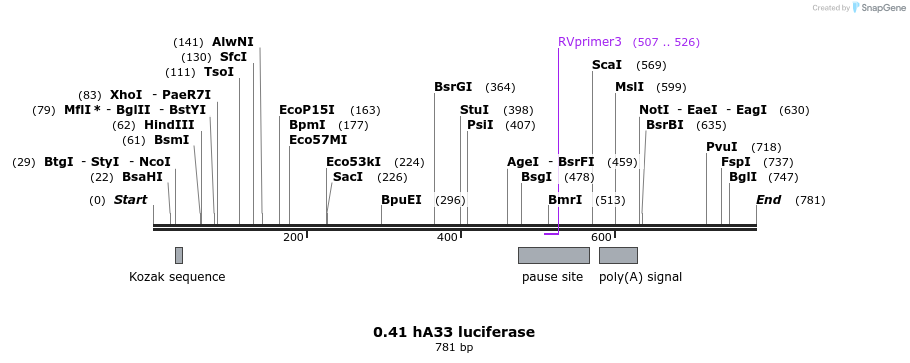 120962_map