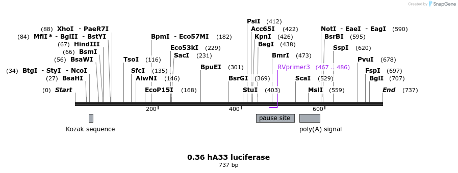 120966_map