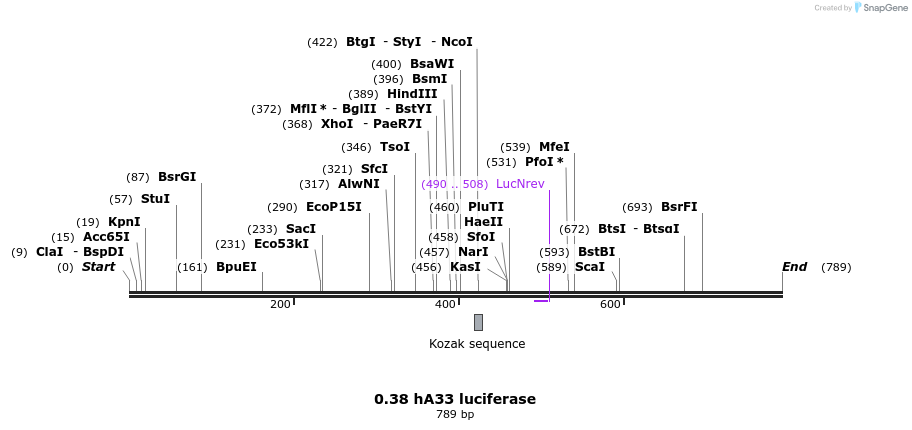 120969_map