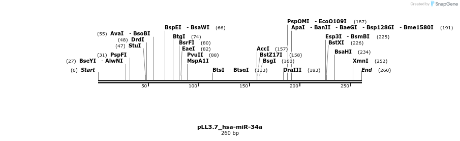 12097_map