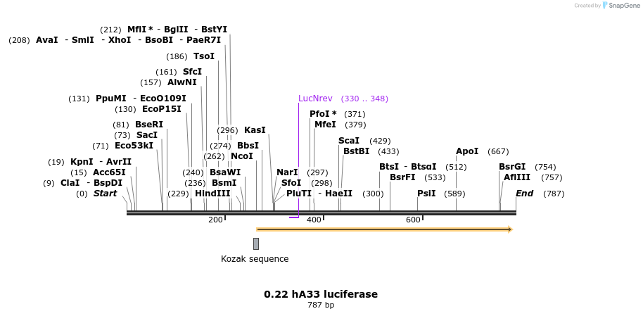 120977_map