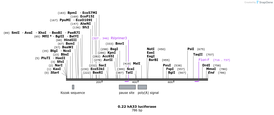 120979_map