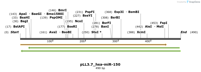 12098_map