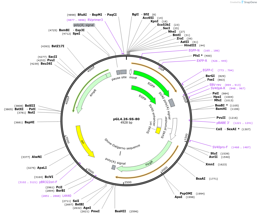 120982_map