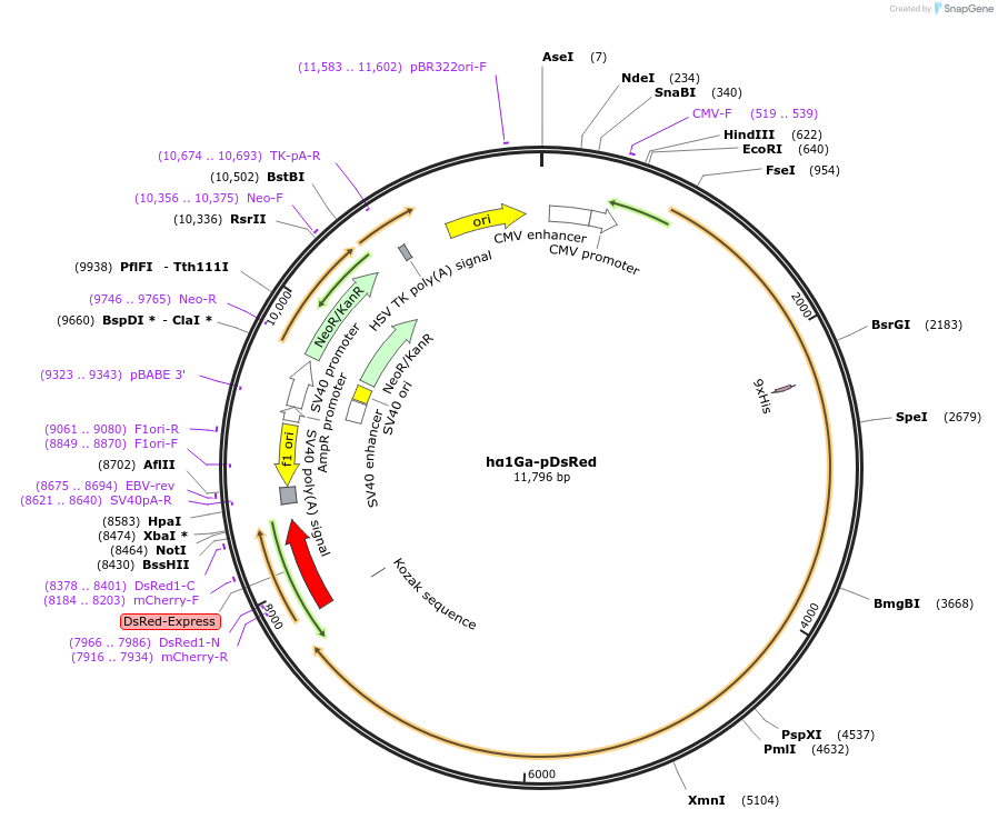 120990_map
