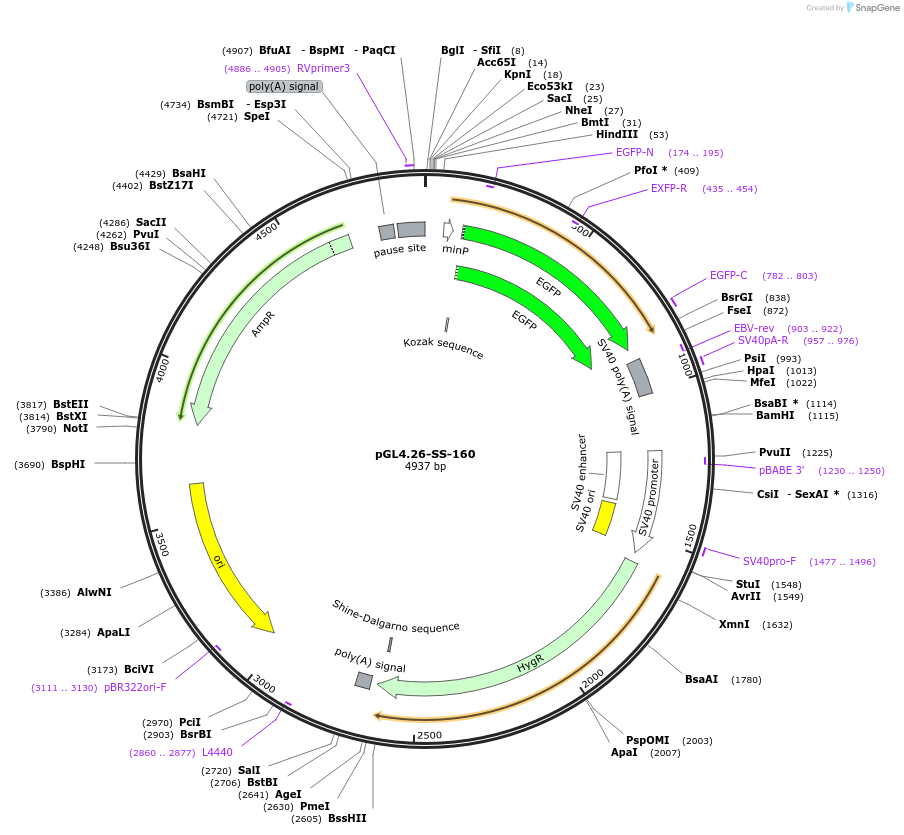 120994_map