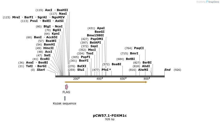 120996_map