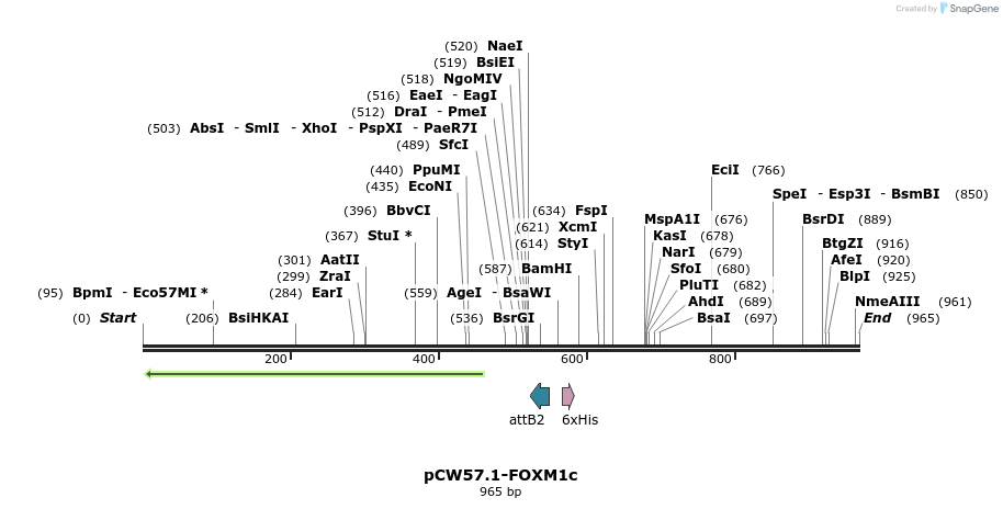121000_map