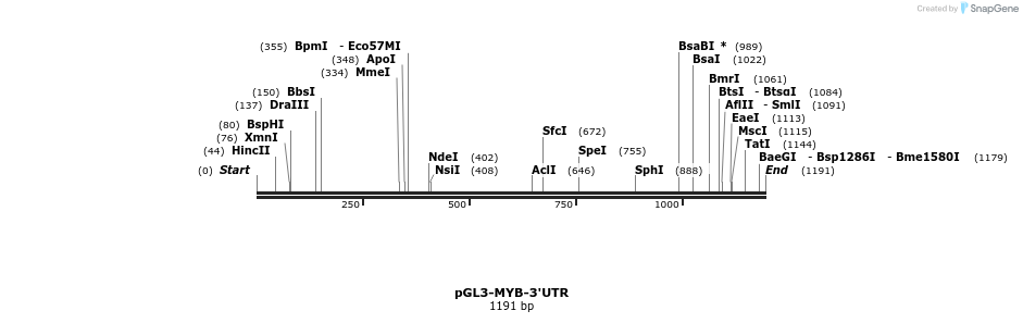 12101_map
