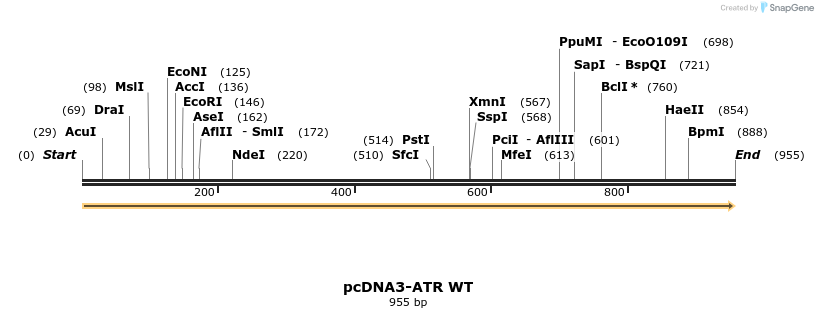 121019_map