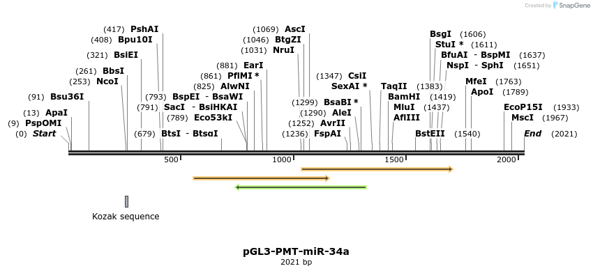 12102_map