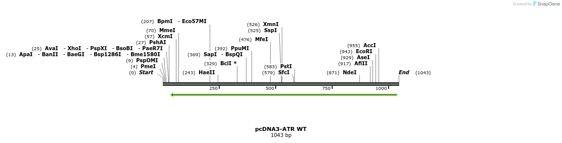 121020_map