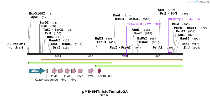 121022_map