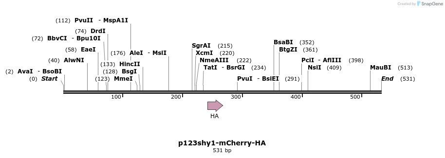 121037_map