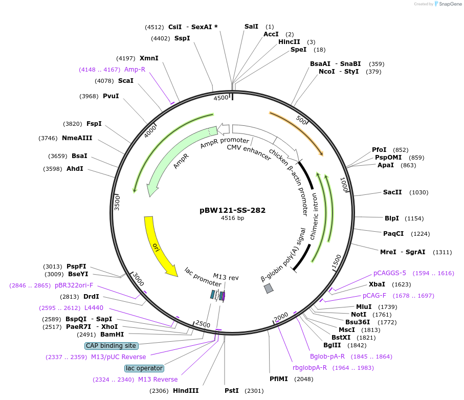 121041_map