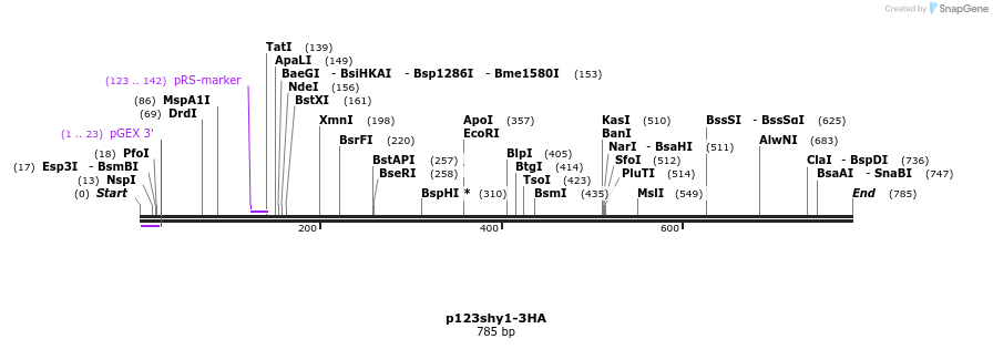 121043_map
