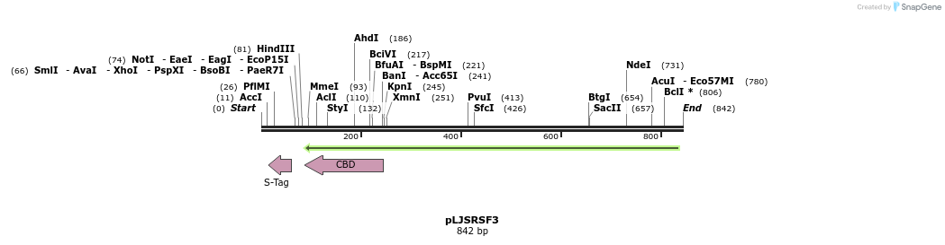 121053_map