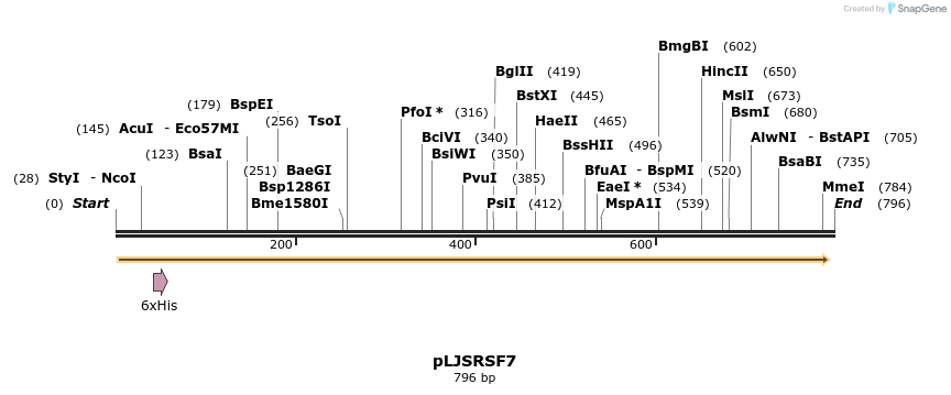 121054_map