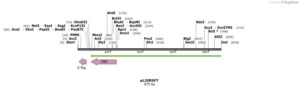 121055_map