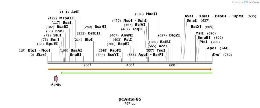 121058_map
