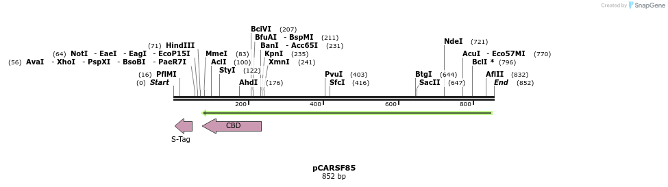 121059_map