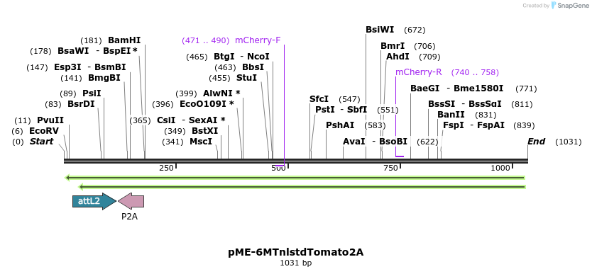 121060_map