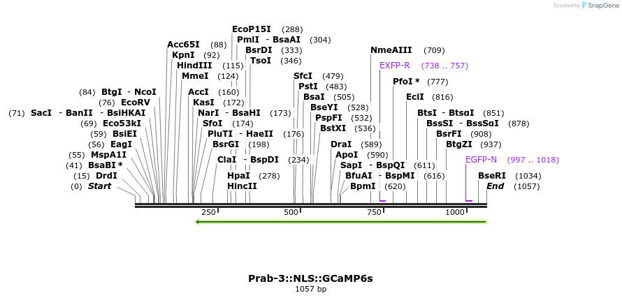 121061_map