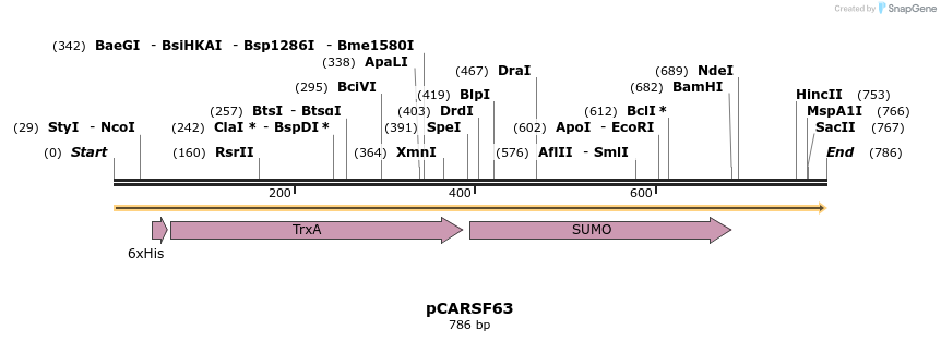 121074_map