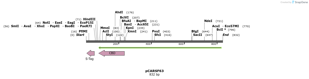 121076_map