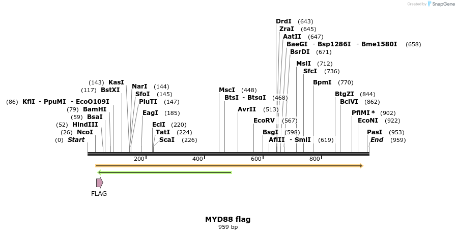 121086_map