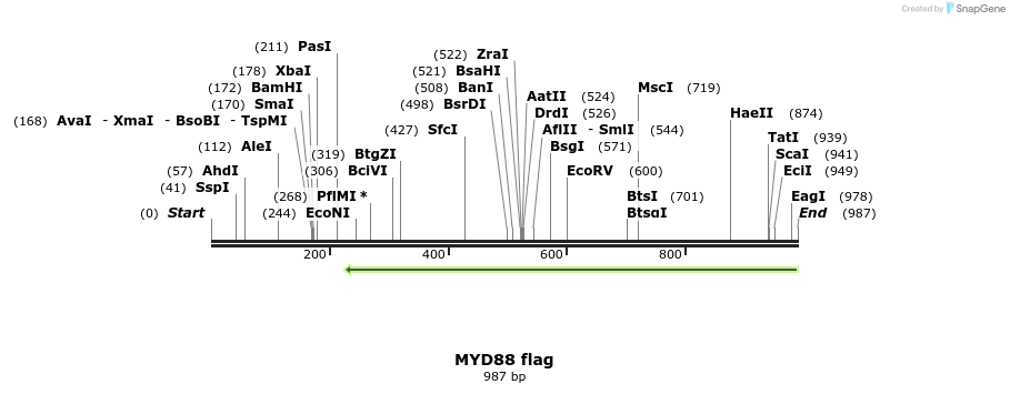 121088_map