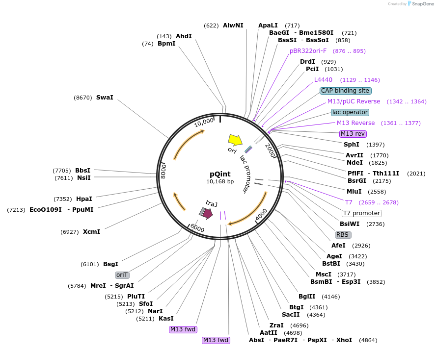 12109_map