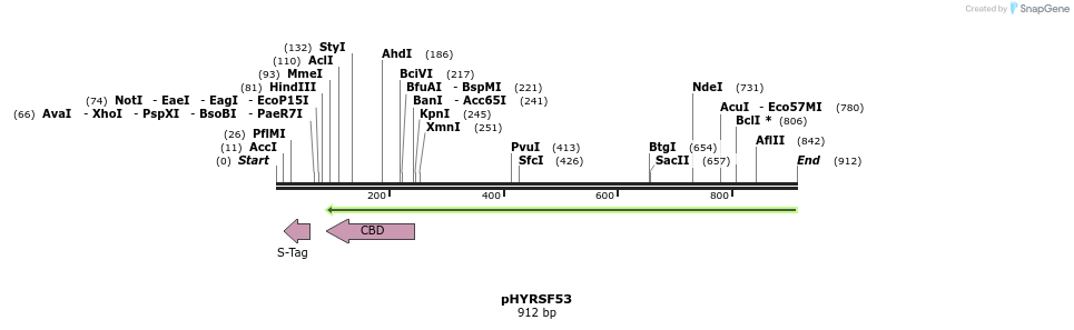 121095_map