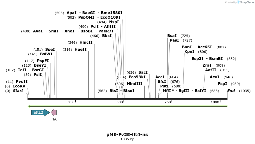121097_map