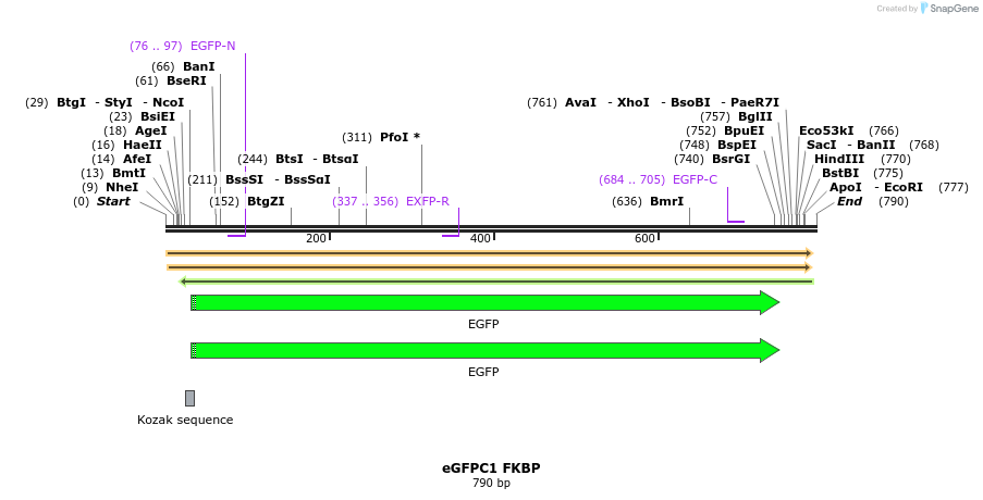 121098_map