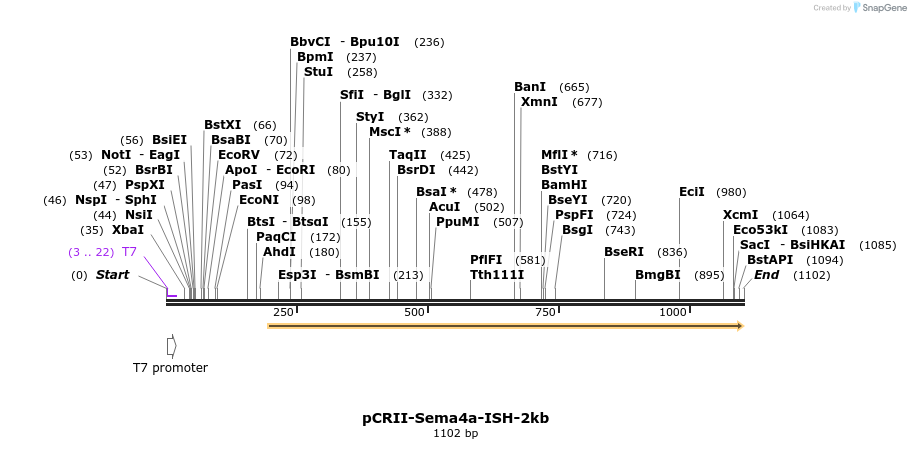 121102_map