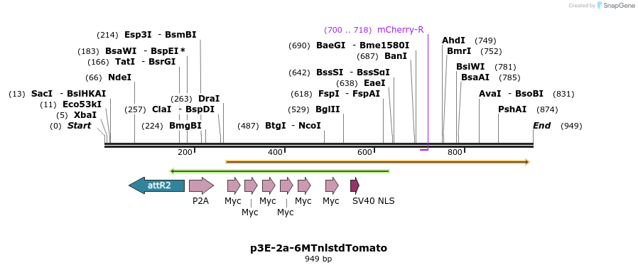 121104_map