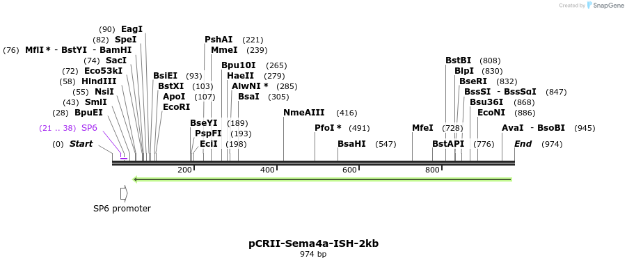 121105_map