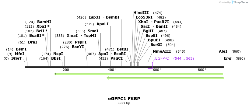 121106_map