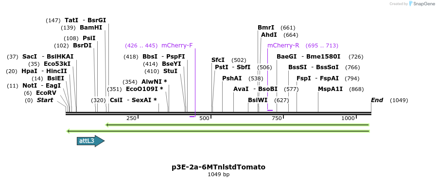 121107_map