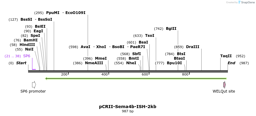 121110_map