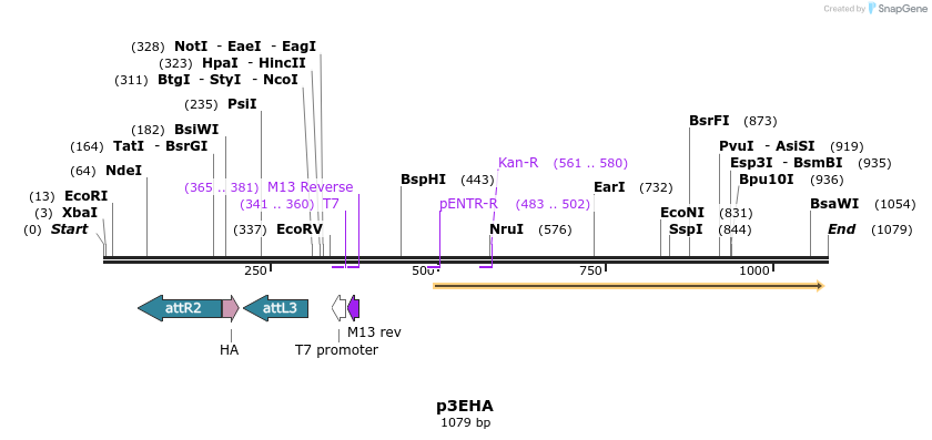 121111_map